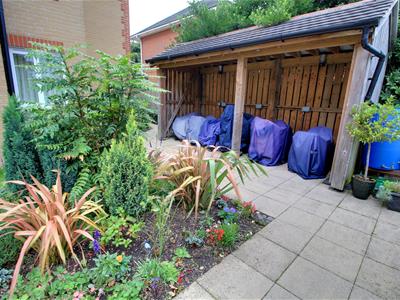 Picture 17